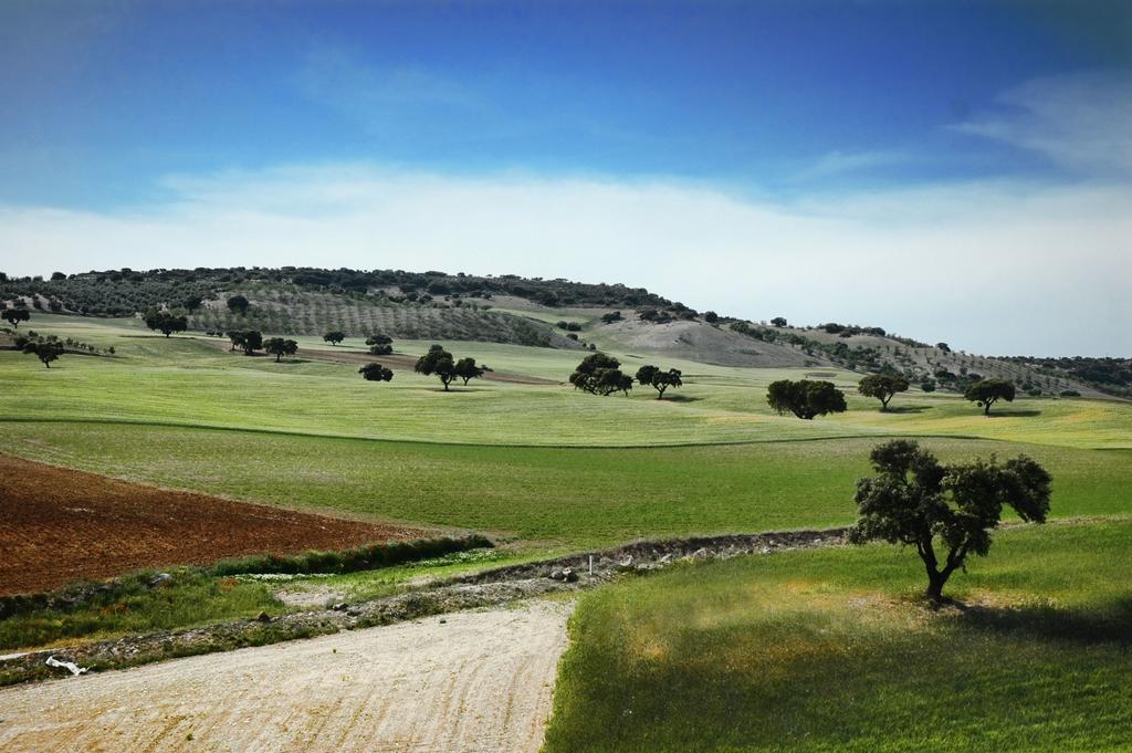 ألاما دي غرانادا Apartamentos Turisticos Cortijo Garces المظهر الخارجي الصورة